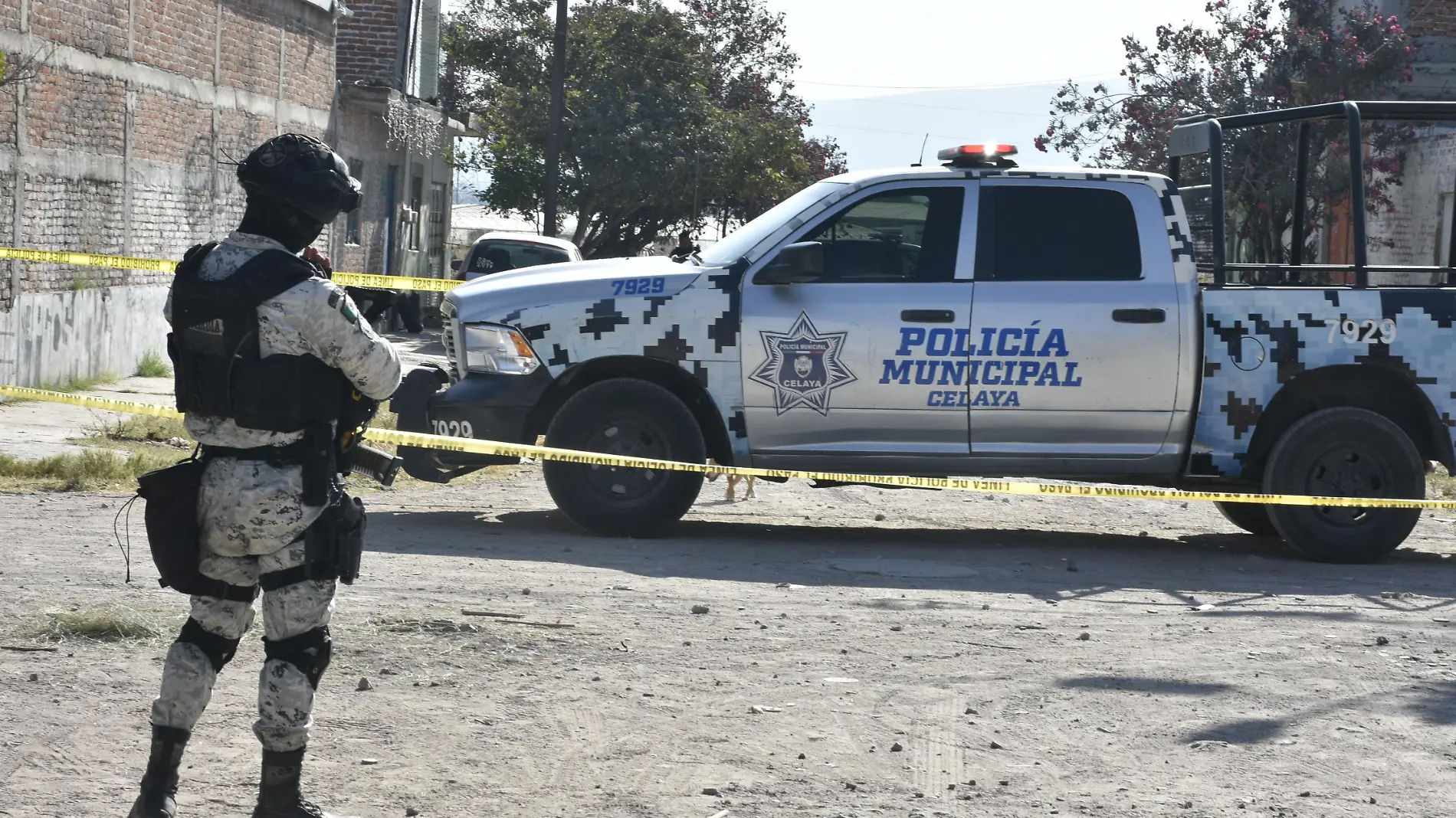 muerto en la del bosque 